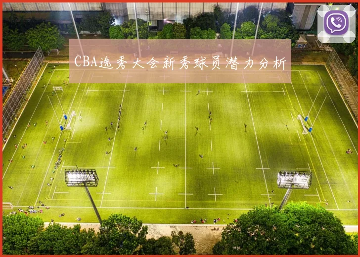 CBA选秀大会新秀球员潜力分析